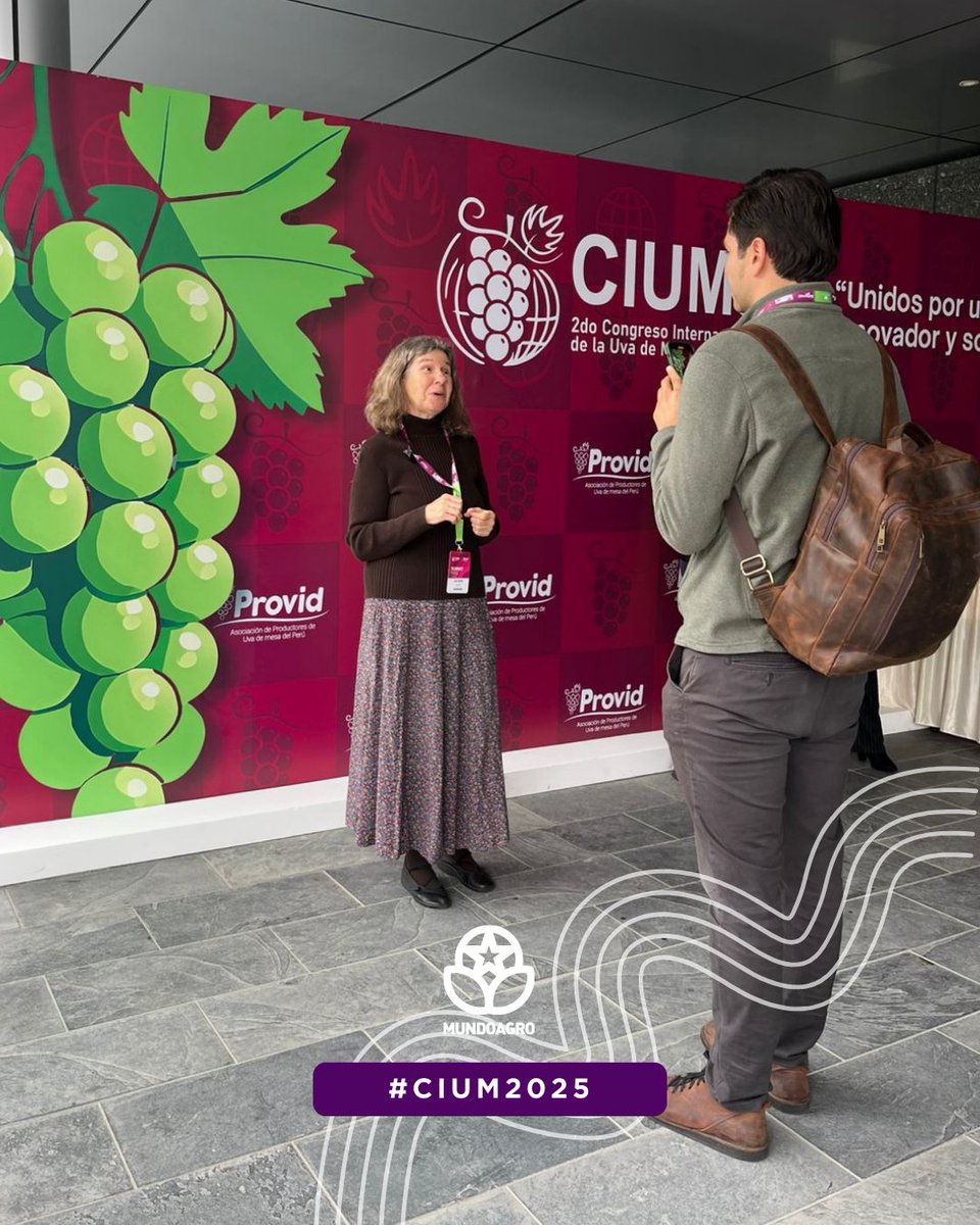 mundoagrochile's tweet image. [PERÚ] 🍇¡Estuvimos presentes en el segundo Congreso Internacional de #PROVID #CIUM2025, realizado en Lima, Perú!

El encuentro reunió a destacados profesionales de la industria de la uva de mesa para abordar temas clave y tendencias de mercado.