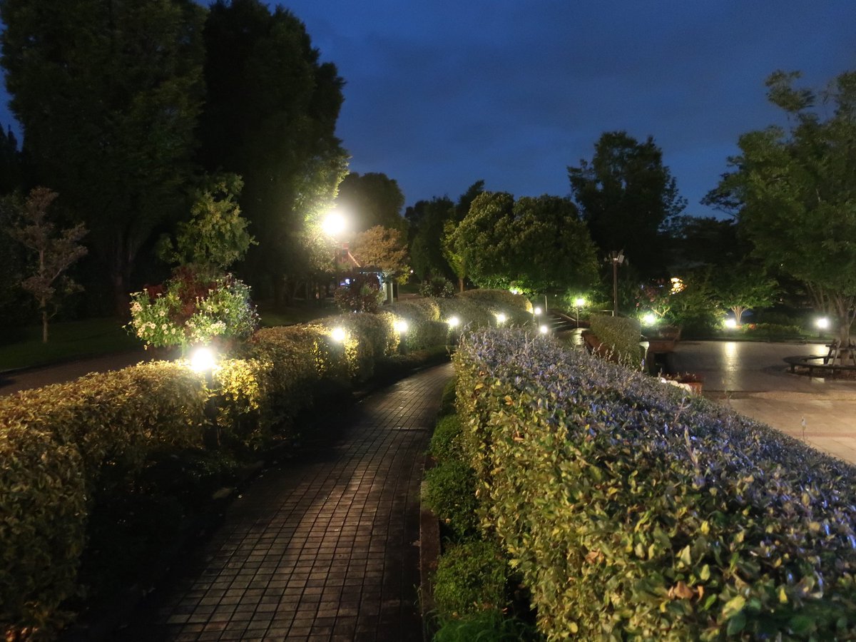 おはようございます。