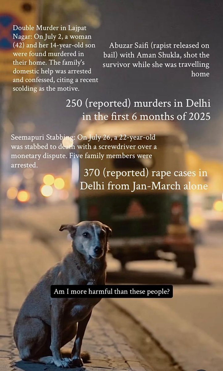 bali_12's tweet image. #IndependenceDayIndia  🐕❤️

#savedelhincrdogs2025
#SaveDelhiDogs 
#Justiceforstraydogs