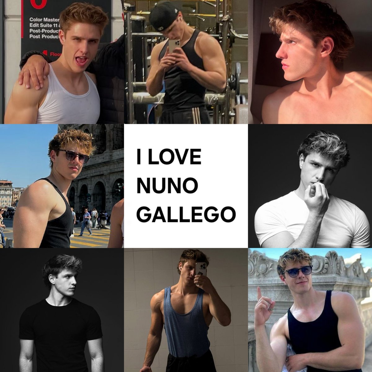 Nuno Gallego Fan tweet media