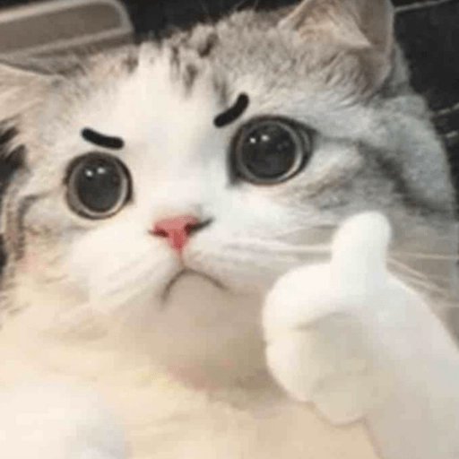 SSMichix's tweet photo. @AraiiVtuber https://t.co/spB0JXOicI
