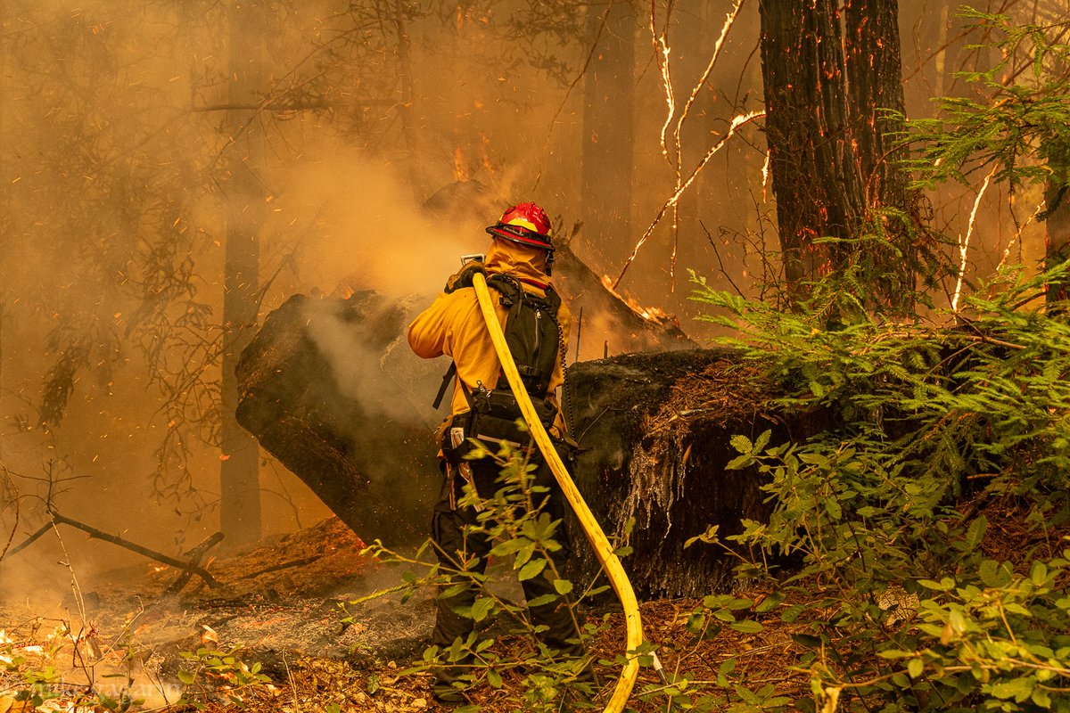 Five years ago today, California experienced the start of one of the most devastating fire sieges in state history.

On August 15, 2020, a rare dry lightning storm sparked hundreds of wildfires across California—several of which would go on to become some of the largest, most