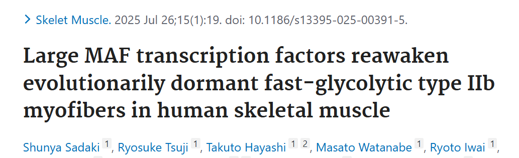 WILD.

This paper suggests humans can awaken a dormant muscle fiber type (IIb) - the fastest we know of, but it is completely non-existent in humans (highly abundant in cats, cheetahs, mice, etc.). 

Some quick context. 

Humans have two major muscle fiber types: Slow and