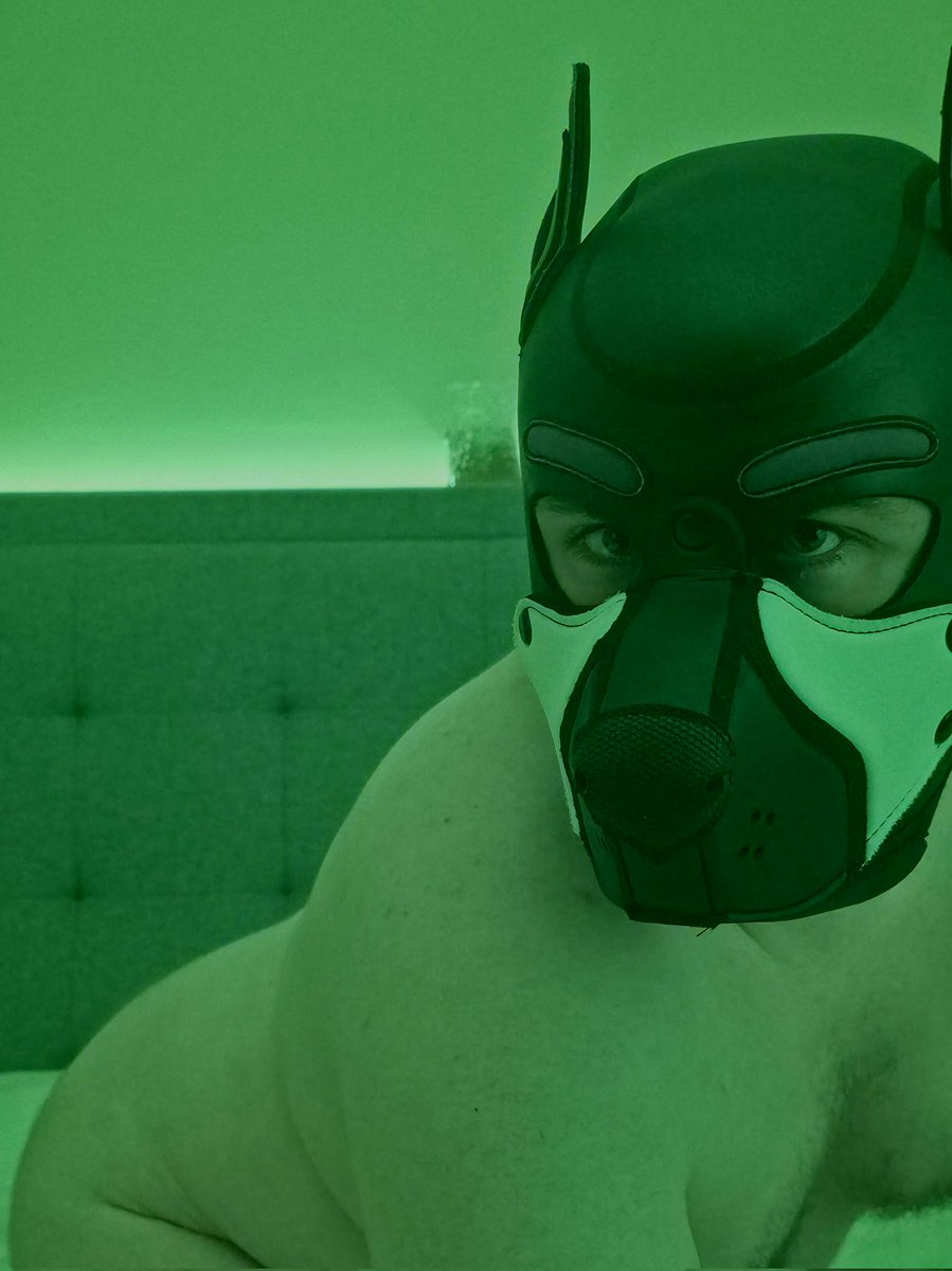 Maniacal Mercury tweet media