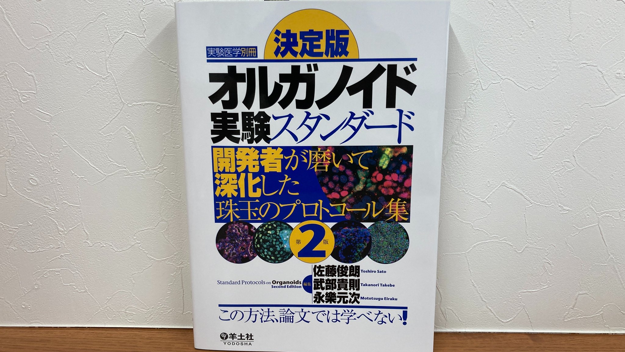 羊土社 営業部 on X: 