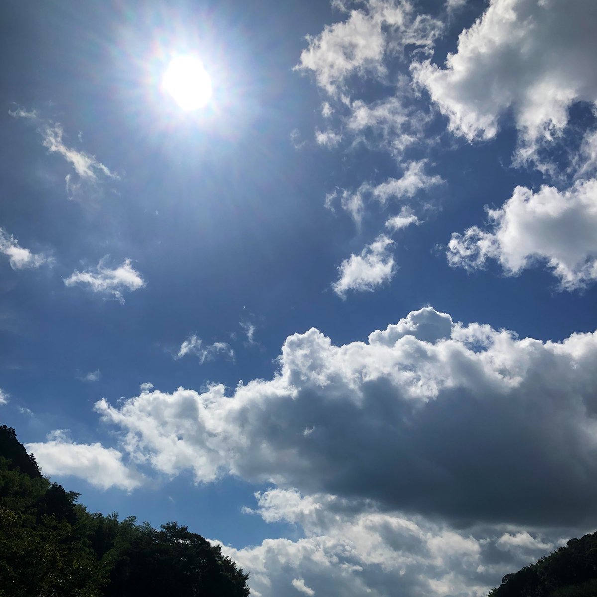 おはようございます！
今日は8月15日金曜日ですね。

暑い日が続きますね。お互いに無理せず過ごしていきましょう。

よい一日になりますように🍀
#空のある風景 
#キリトリセカイ 
#夏の空