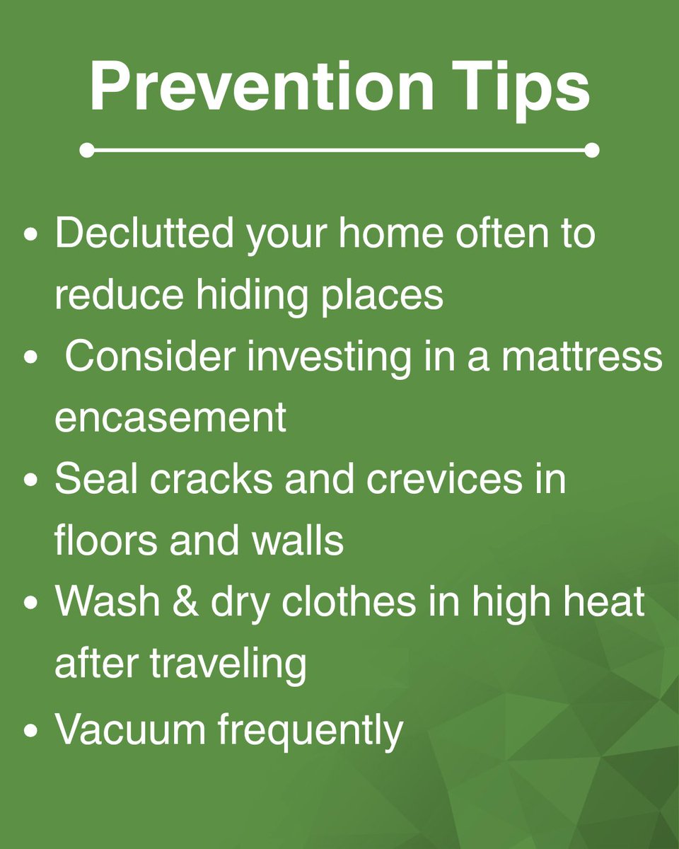 Welcome to our brand-new series: Pest Prevention! 
Here are some helpful tips on bed bugs: how to spot them, stop them, and keep them out for good. 🐻
#kodiakpropertymanagement #pestprevention