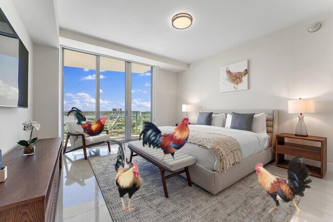 Hanging out at the coup with the boys before we go out on #Hedgewatch. And yes, that is a portrait of Imogen on the wall. It’s a signed limited edition. 

#PeckinIsLivin #UrbanChickens #ChickensOfTwitter #freerange