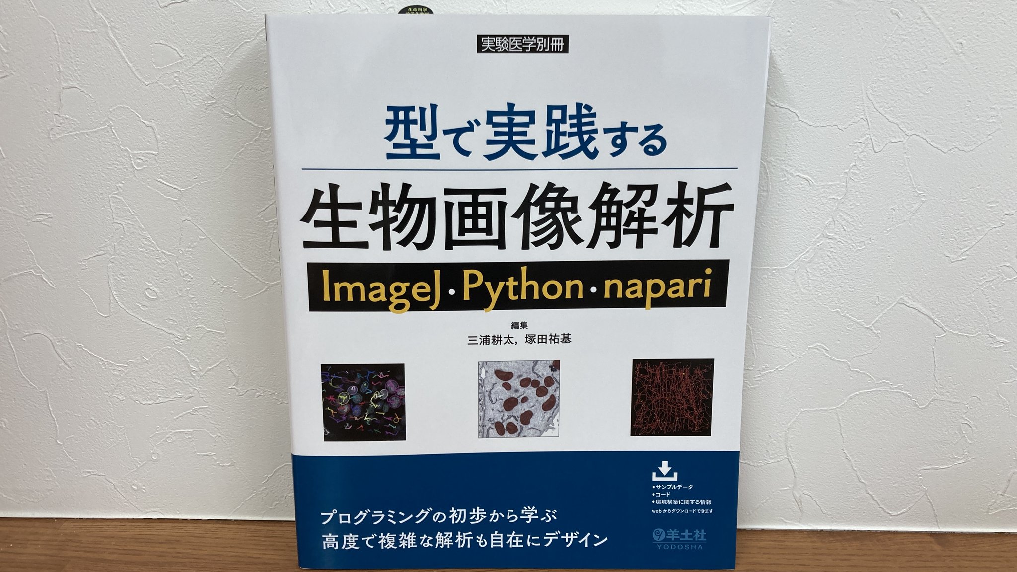 型で実践する生物画像解析　ImageJ・Python・napari (実験医学別冊) 実験医学別冊：型で実践する生物画像解析 ImageJ・Python