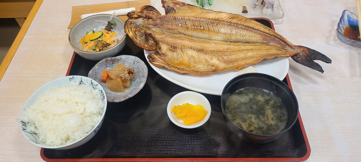 20食目　函館　活イカ　根ホッケ