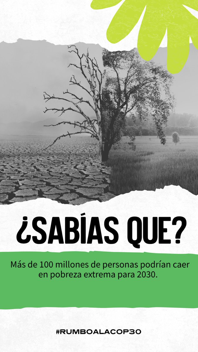 rumboalacop's tweet photo. Cambio climático = pérdida económica global.
Agricultura, turismo, salud, infraestructura y empleo ya están siendo afectados.  Decisiones como consumir menos, invertir en lo sostenible o cuidar energía ayudan al planeta.
#RumboALaCOP30 #EconomíaVerde @UPMexico https://t.co/pdpUyWQFoR