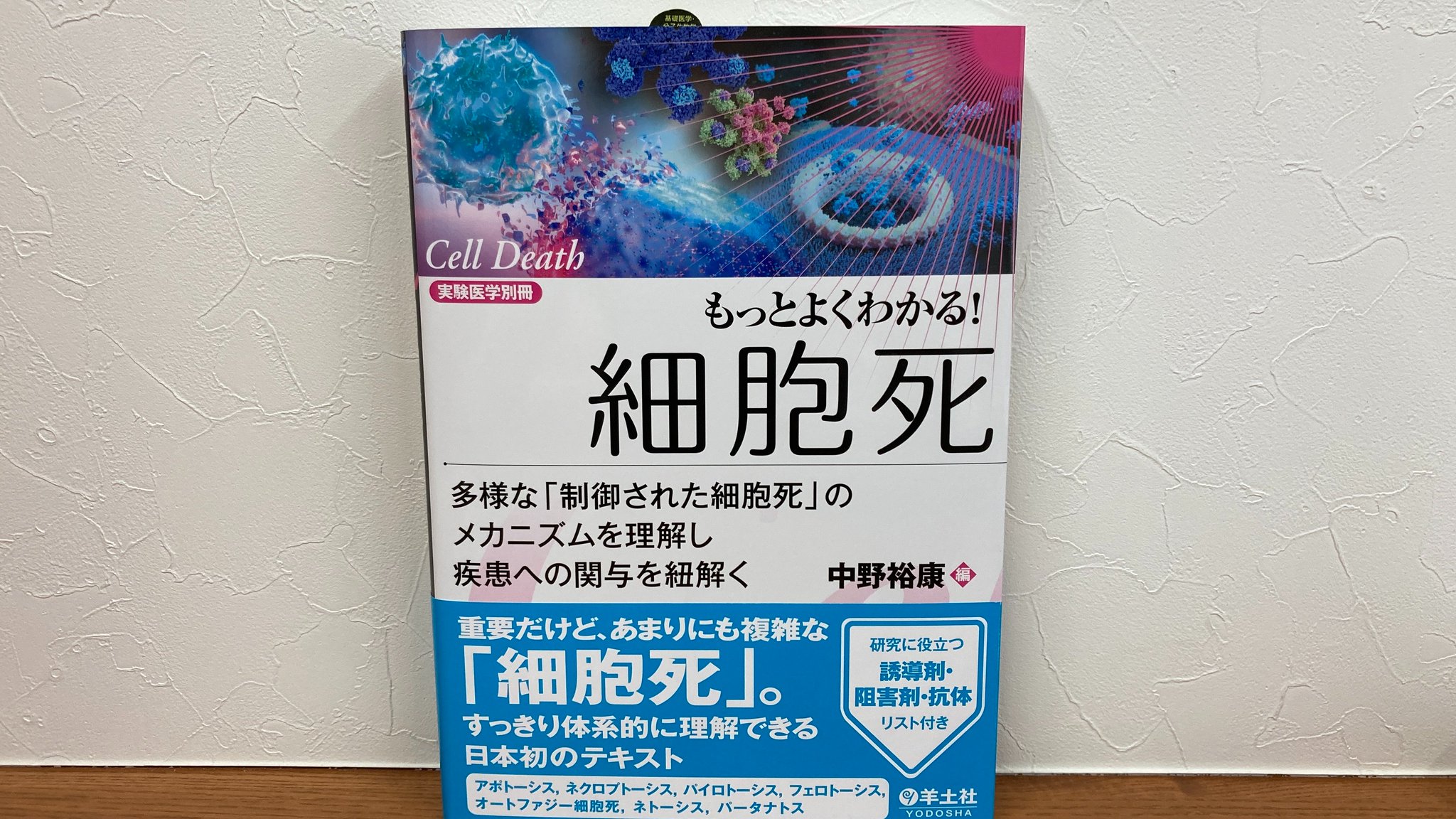 腐れ肺の再生術師 日本語 4枚セット 62-1064-63 救急蘇生セット[医師挿管用] 成人用 ACRW-ED-FP