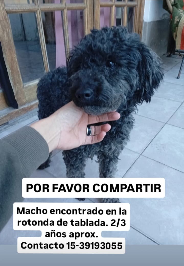 Rt
Difundimos