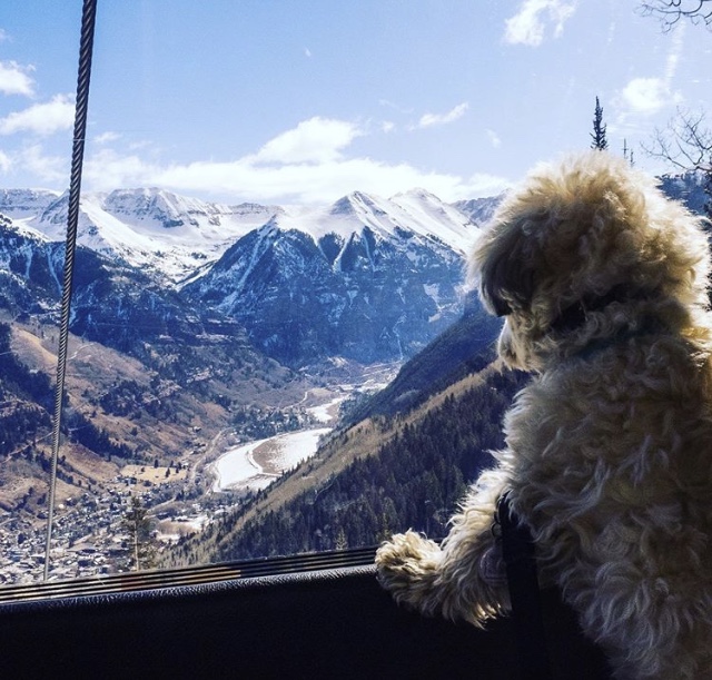 Rod Clarke tweet media