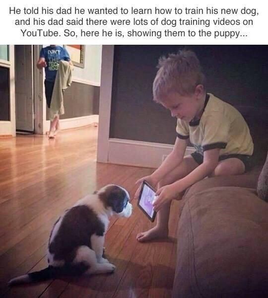 WholesomeMeme's tweet photo. https://t.co/psRnKUGErn