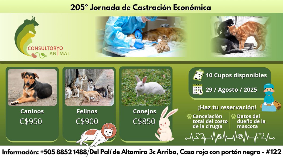 Dr. Enrique Rimbaud (@nicaraguayo) on Twitter photo 