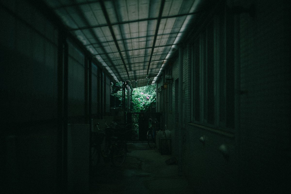 たよ (@ta062yo) on Twitter photo 