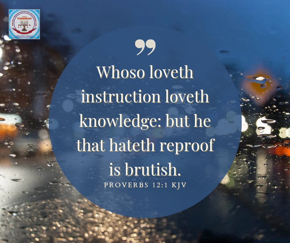 aymc2003's tweet photo. Proverbs 12:1 — Love correction if you want to grow. Hate it, and you stay stuck.

💬 What’s one correction that made you wiser?

#Proverbs12 #Wisdom #FaithGrowth https://t.co/eQV40ZK6W2