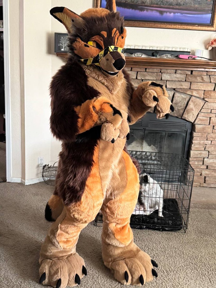 1 year ago this animal changed my life for good. i genuinely have no idea how to describe how happy i am, but this is genuinely the best day of my life. 

thank you <a href="/suitsbycedar/">Suits By Cedar 🌵🐾</a> and <a href="/HallowMoonSuits/">🌙HallowMoon</a> for making my dream come true 🤍