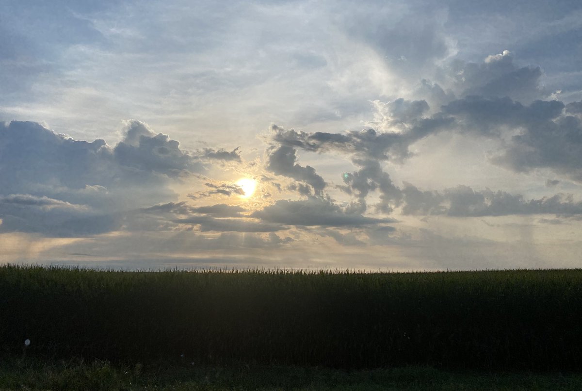 JJacobsSCTeach tweet media