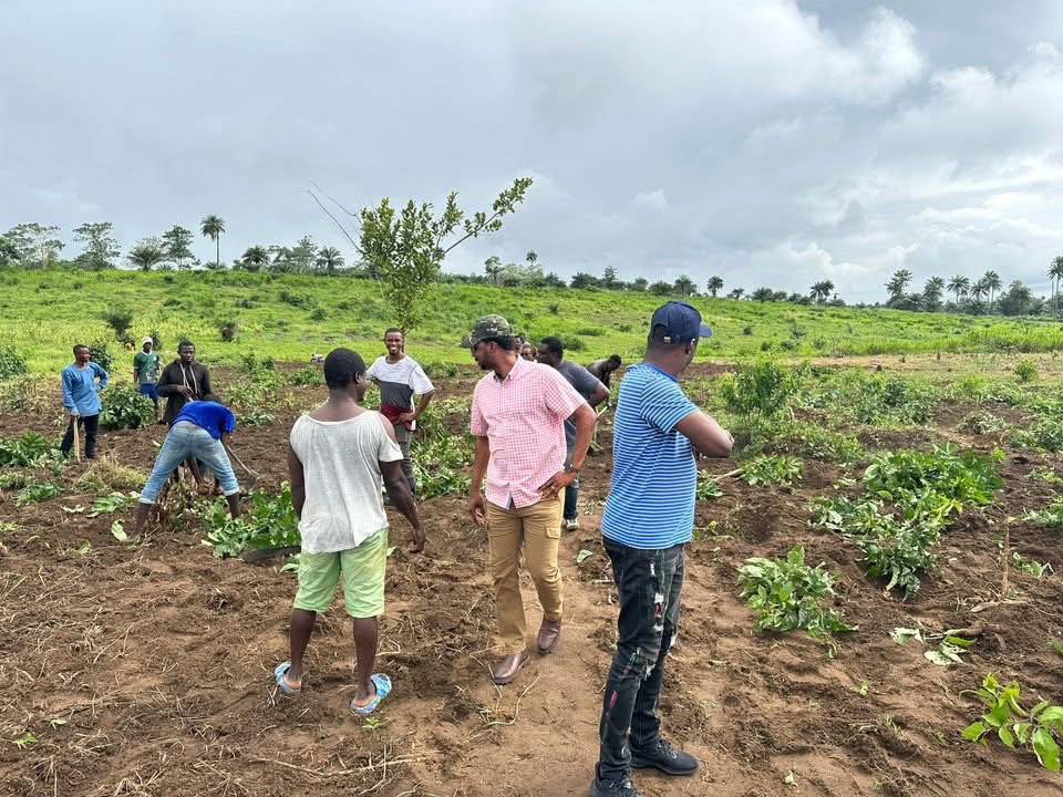 BillySesay's tweet photo. To the glory of God, #MOYA &amp; Future Farms have launched the #AgTech Center of Excellence for Youths at Masiaka #Youth Farm 🌱🇸🇱.
Modern #farming, #climate-smart skills, &amp; jobs for all—including persons with special needs.
Proud to ensure sound #financial management for impact. https://t.co/LDyD523w9E