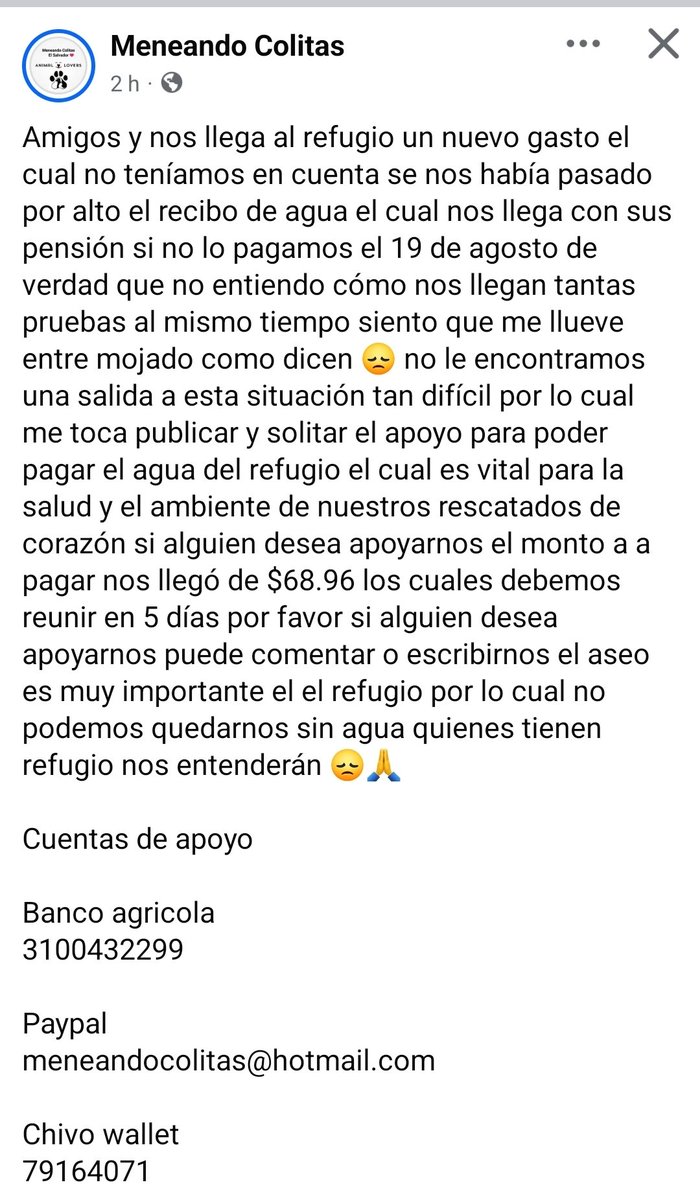 njavier_93's tweet photo. Este refugio necesita ayuda
@nayibbukele @ECastroES @ITROriginal por favor ayuda! https://t.co/zhJuSWUvrA