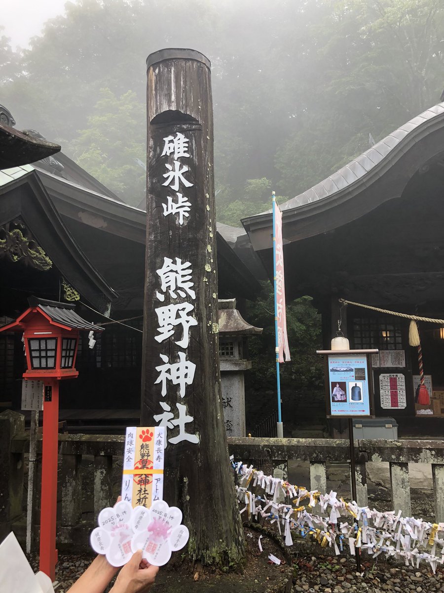 cogicogiatorin's tweet photo. アトム（11歳）りん（10月で8歳)
犬康祈願⛩️ https://t.co/SSInW89b00