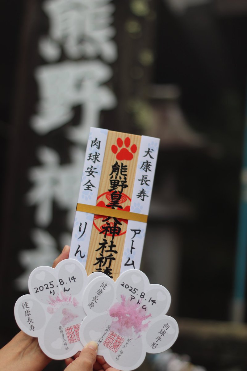 cogicogiatorin's tweet photo. アトム（11歳）りん（10月で8歳)
犬康祈願⛩️ https://t.co/SSInW89b00