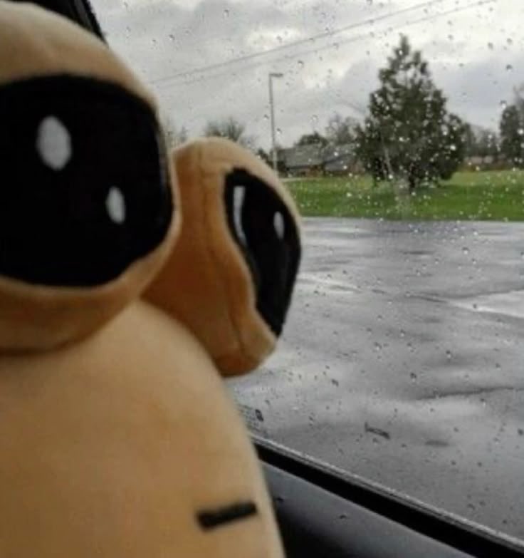 Cómo van a terminar tuli y lit? 😭