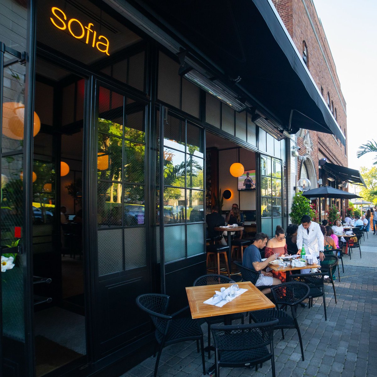 Sofia tweet media