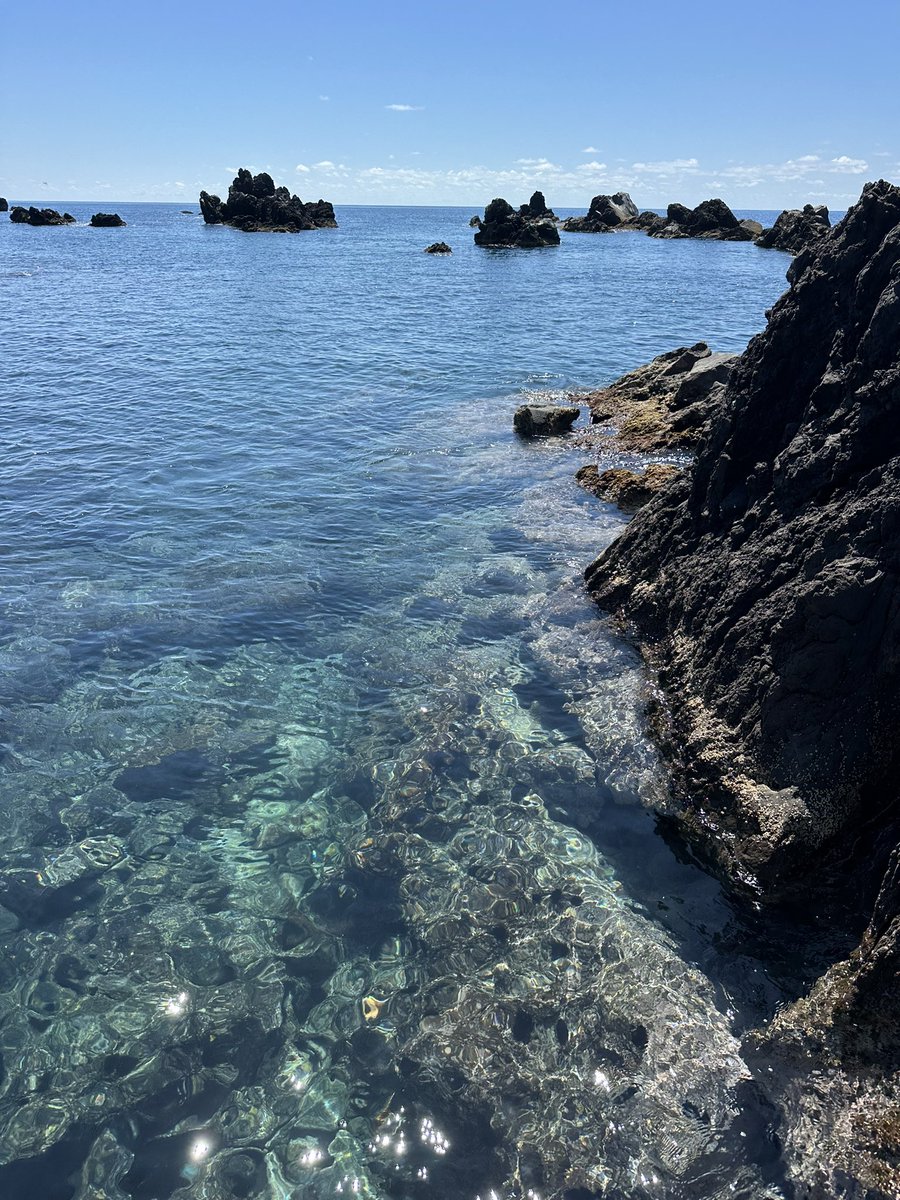 CD501094221's tweet photo. 今年も利尻島に2泊3日で遊びに行きました
天気が良くて景色も最高！
初のミルピス https://t.co/8XAncKPg6L