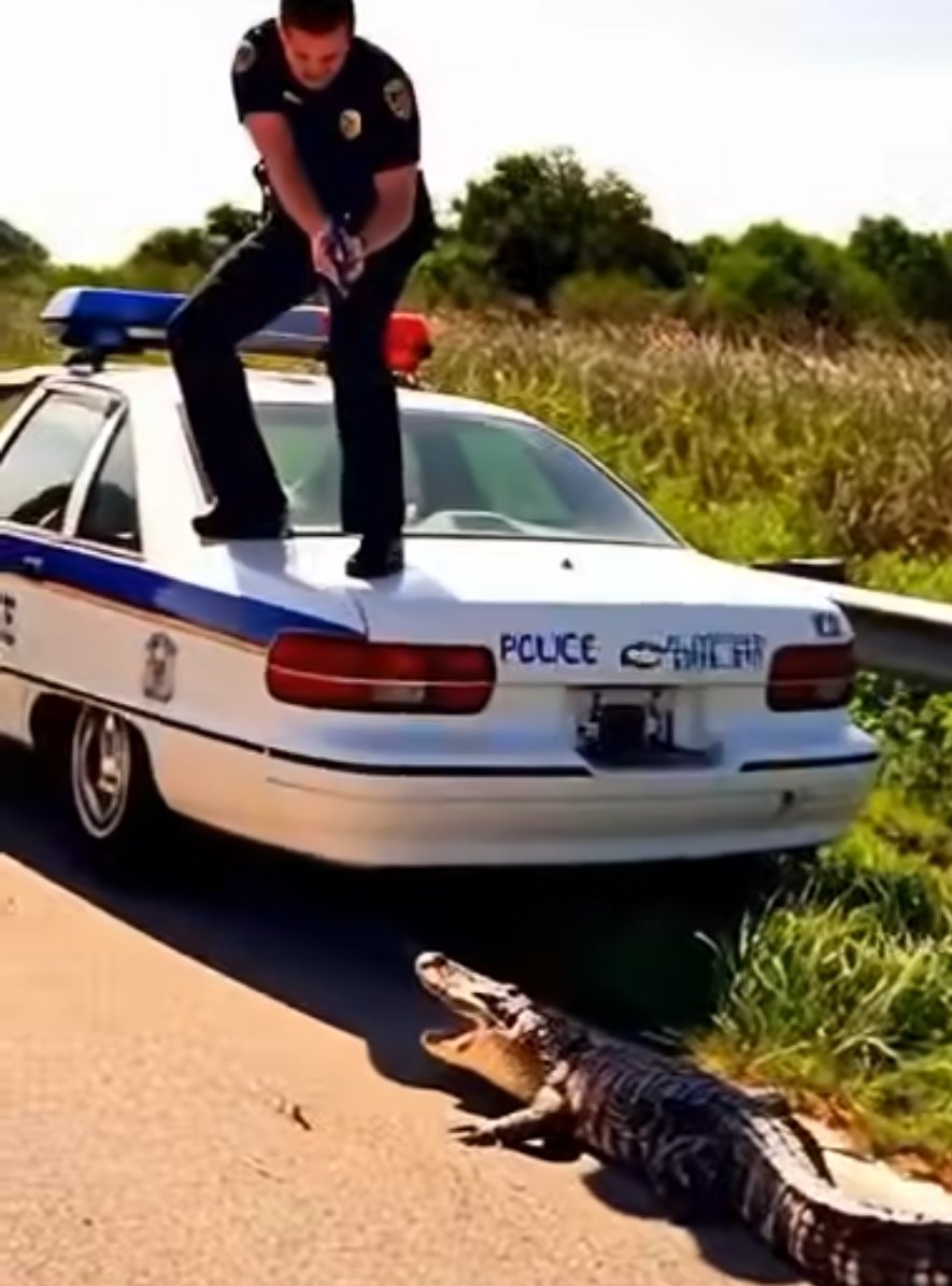 Florida in a photo..