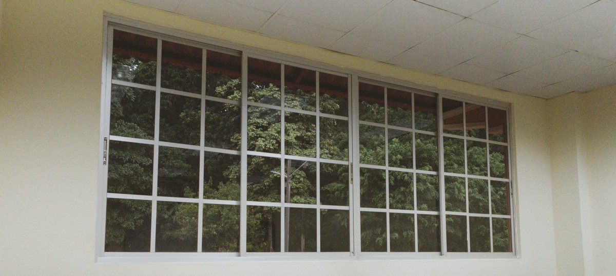 luiguimansion's tweet photo. 🌳 https://t.co/NoeKkxpsOI