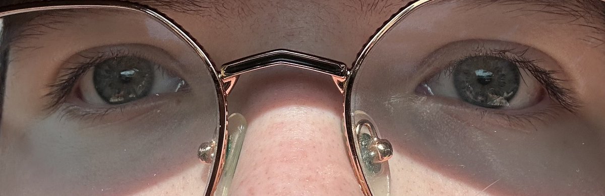 Evan/Cicada🏳️⚧️🇵🇸 tweet media