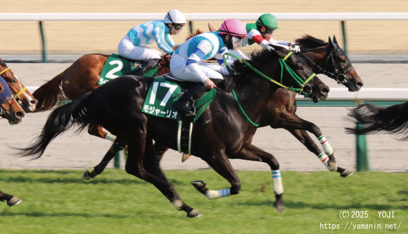 競馬写真⭐ヤマニンパラダイス（馬券） 功労馬 | ヤマニンパラダイス