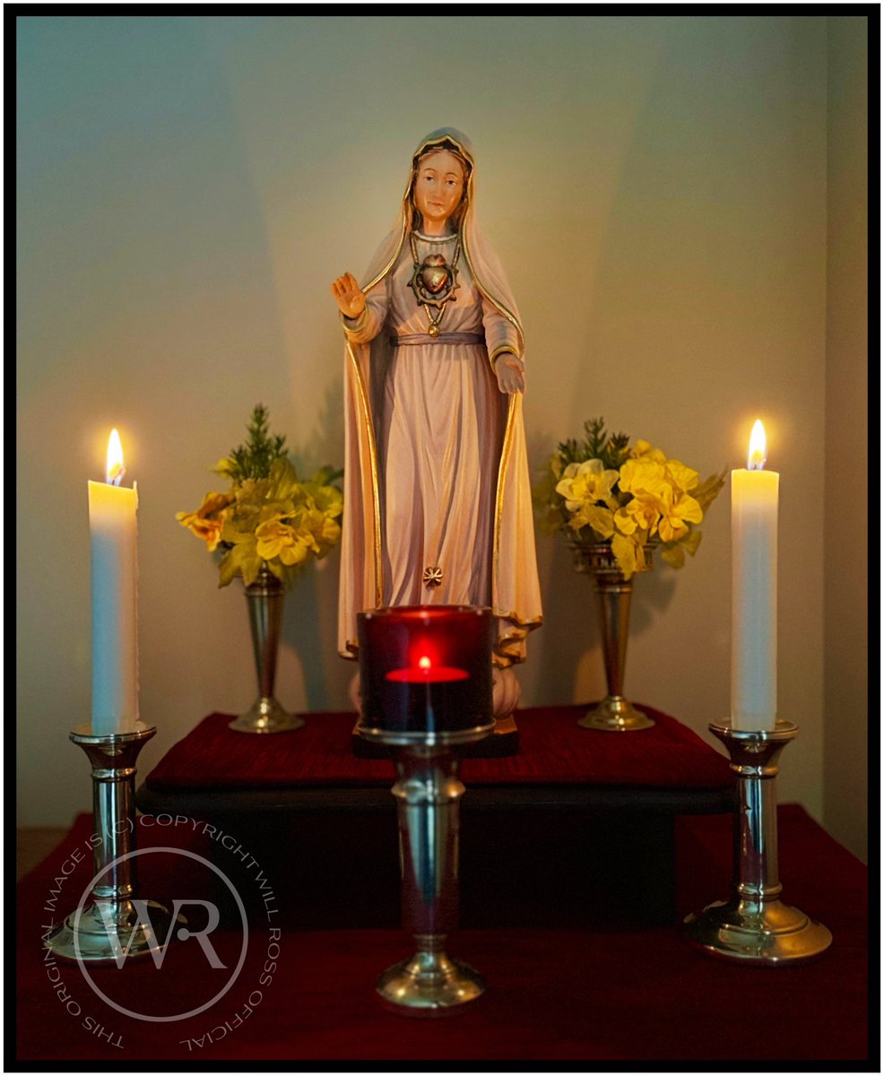 “And a great sign appeared in the Heavens - a Woman, clothed with the sun..”

15th August: Solemnity of the Assumption of the Blessed Virgin Mary into Heaven