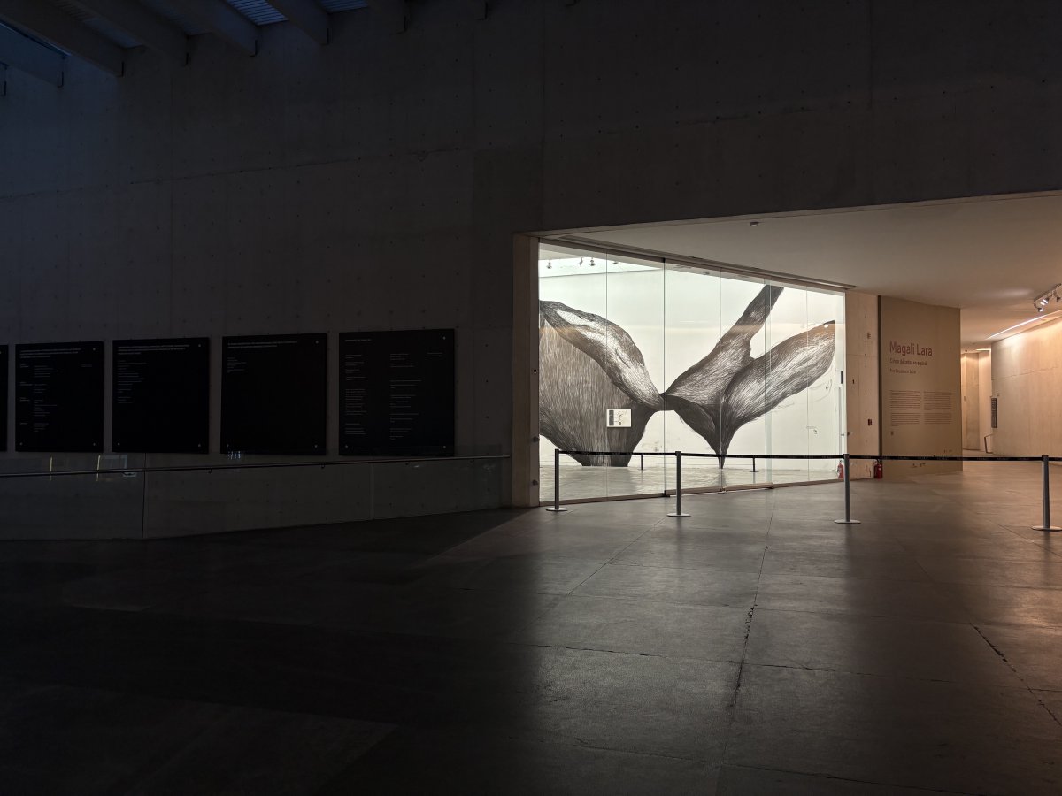 MUAC tweet media