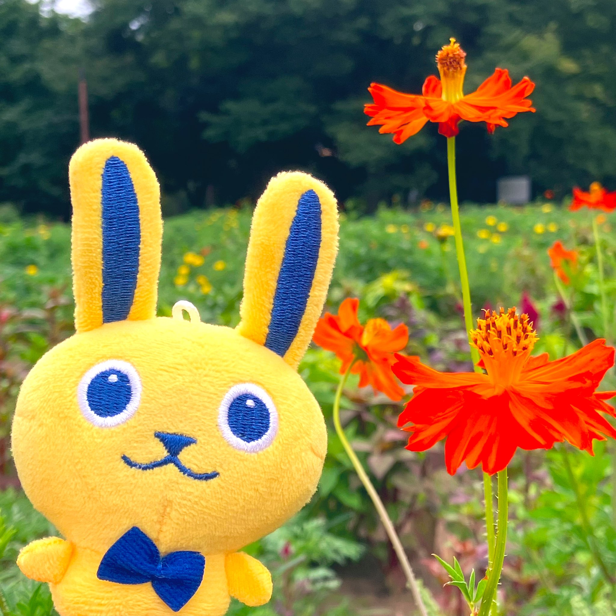 🐰扇風機ニキ on X: 