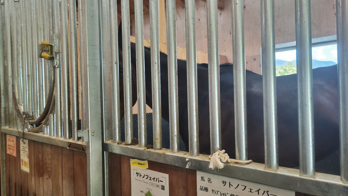 picofubuki's tweet photo. 会えた、嬉しい♥ https://t.co/UmQ1pDNjIT