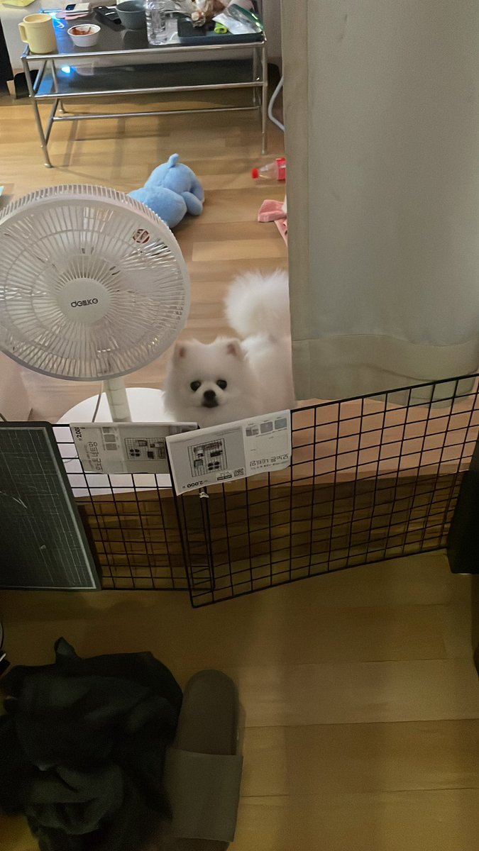 우리집에 초대 하지 않은 녀석이 
오게되서 나 지금 굉장히 스트레스야...오방이고 시방이고 이 녀석땜에 오던 휠 마져 저 세상 이라  내 방 앞에 바리게이트 쳐놓고 정 이라더 들세라 철벽 방어중ㅡㅡ 유기 된 아이라 잠시 임시 보호 중ㅠ 버리고 간년 ㅅㅂ년
#오방 ? 꺼져ㅗ