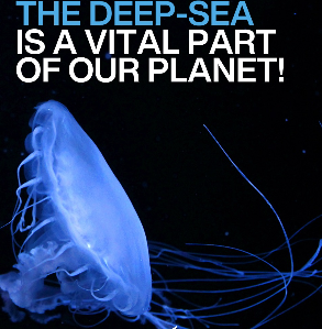 Amnesty Toronto tweet media