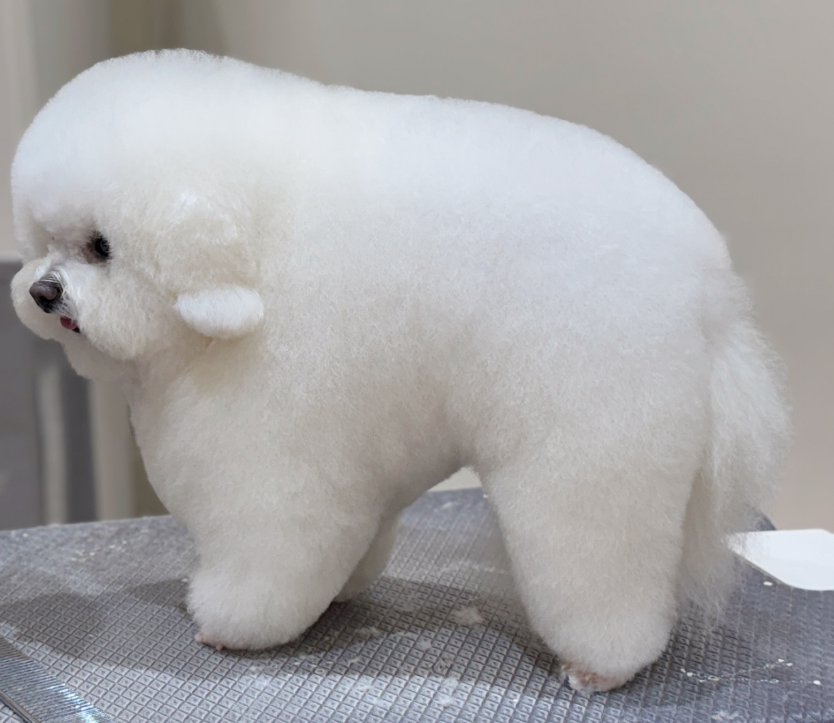 Biscuit Wife 𓅃 tweet media