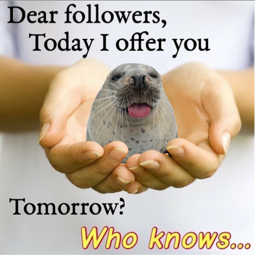 MERKY tweet media