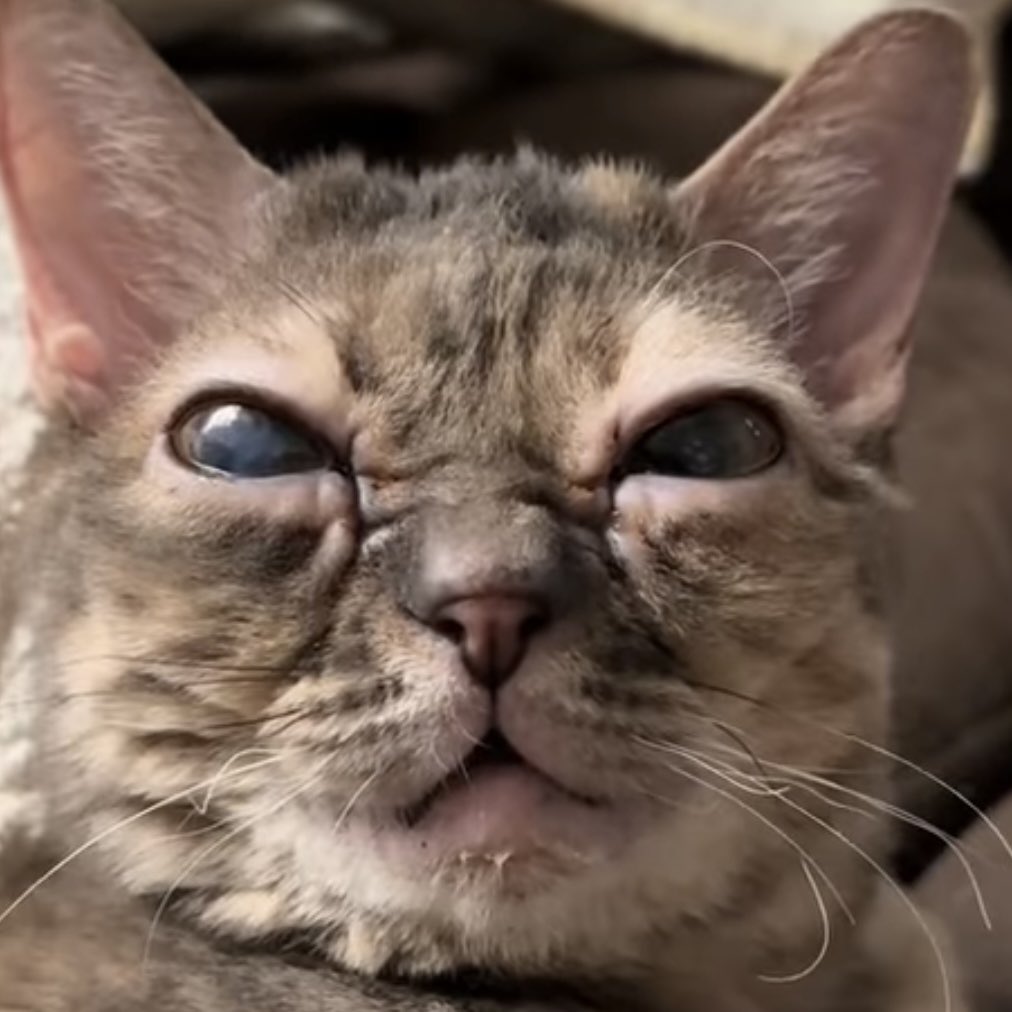 mothiegoth's tweet image. this hole you put me in wasn’t deep enough 😈🖤