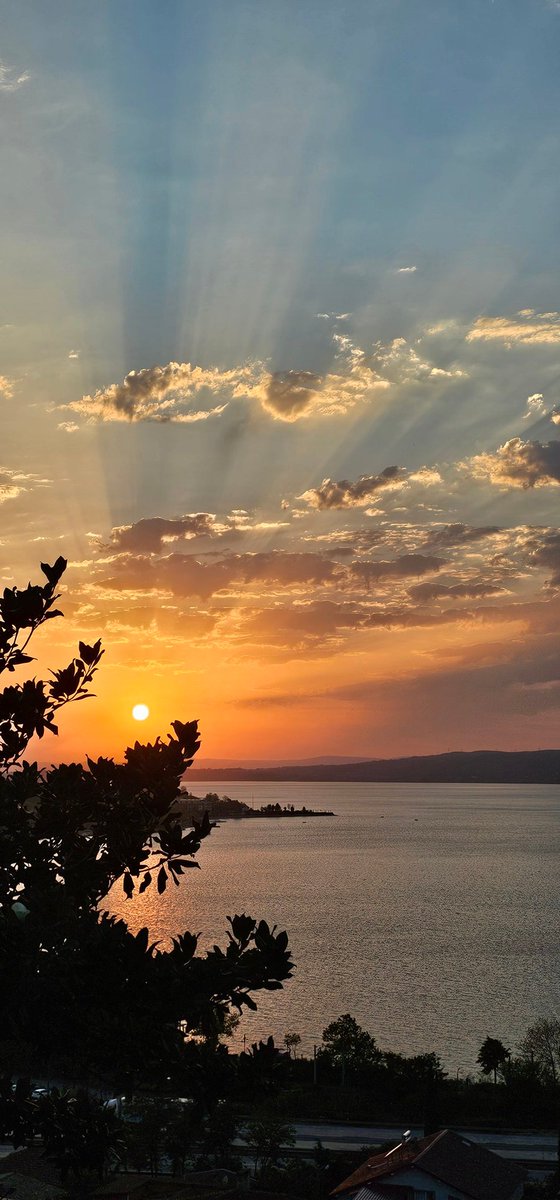 🇹🇷Hatice🇹🇷 tweet media