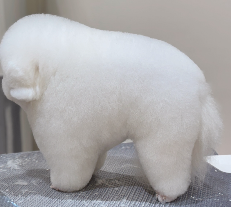 Biscuit Wife 𓅃 tweet media