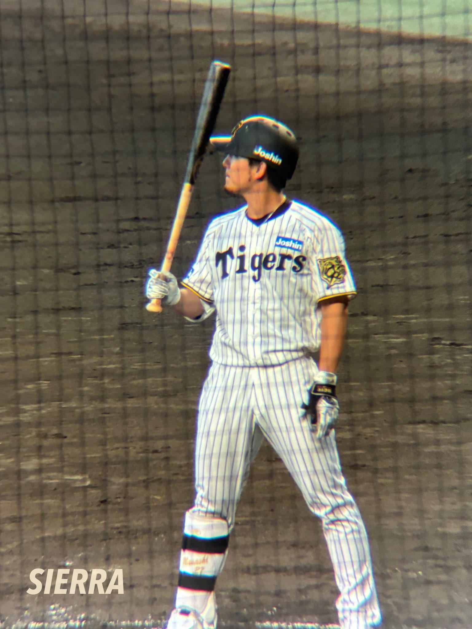 babyG阪神タイガース 61a4OIdPBEL._UF350,350_QL50_.jpg