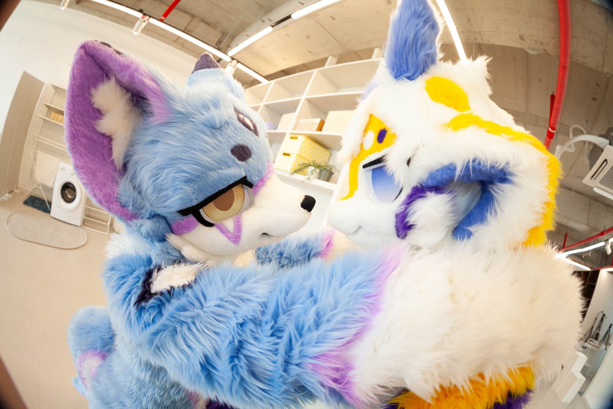 #FursuitFriday #Fursuit
귀여운 고양이 냥줍!! 🥰🥰