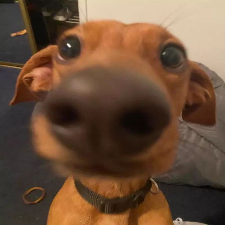 Amigos eu quero dizer que sei que uma coisa vai acontecer, mas não vou falar oq. Mas eu sei.  Volto com um rt contando!!!!