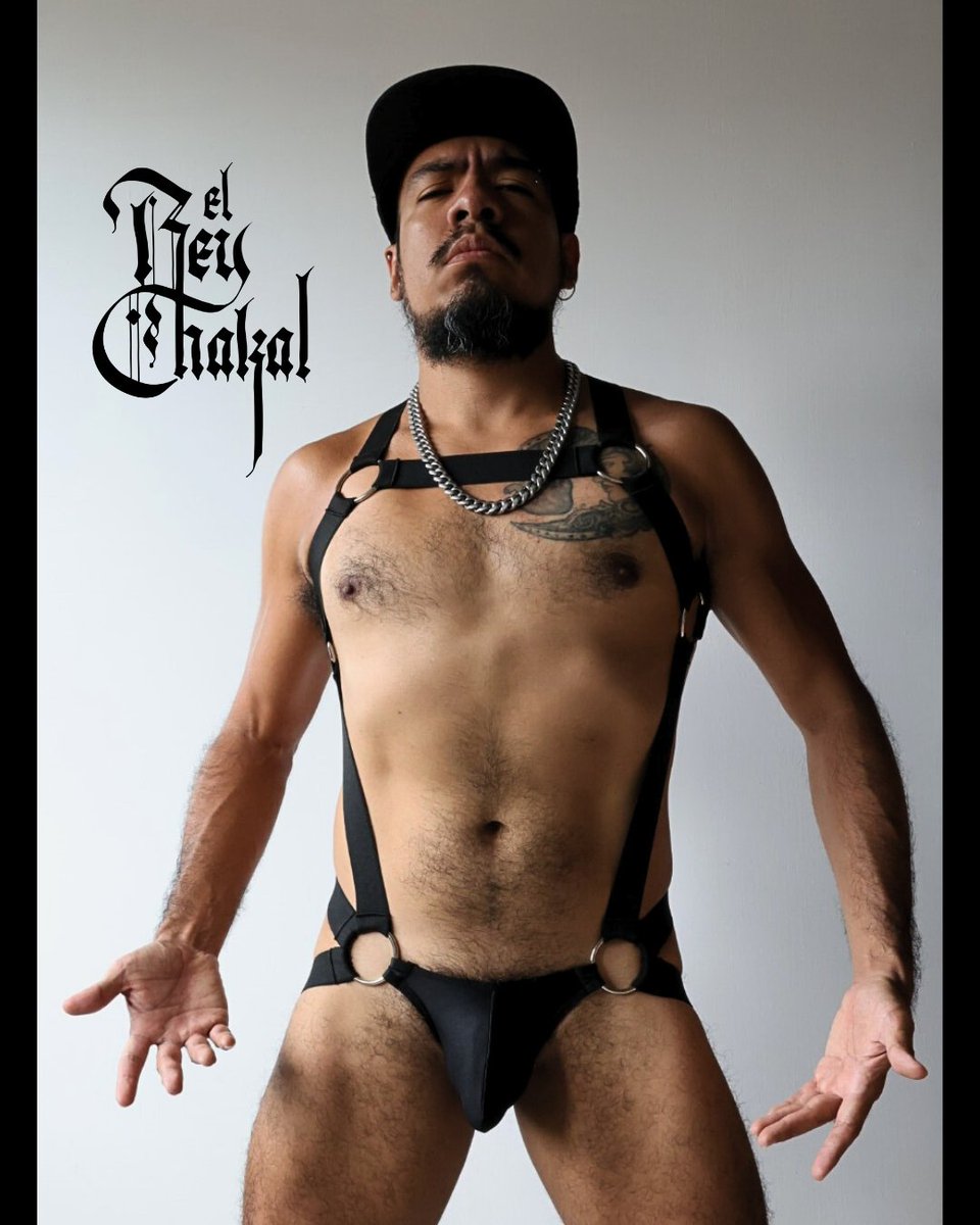 Nuevo diseño de arnés, en $600.

El Rey Chakal